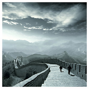 Дилемма Дикобраза