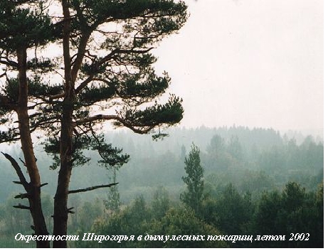 Второе свидание с родиной - 10-я глава