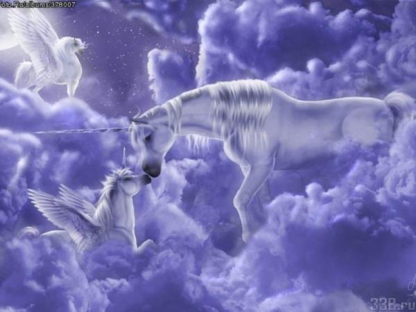 Поэтам Стихиры от меня