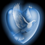 Я тебя люблю