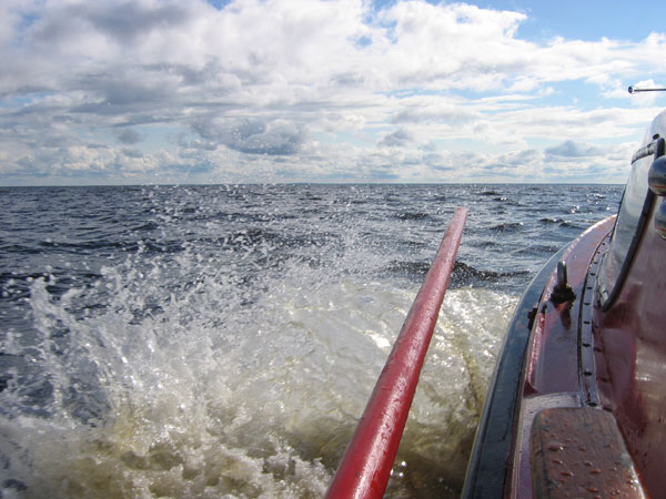 Послевкусие от конкурса стихи на листьях