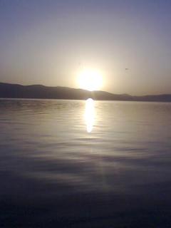 Мы только...