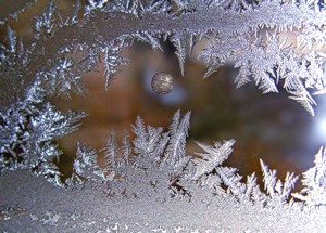 Райский уголок