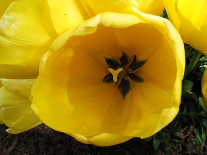 Избавление от любви