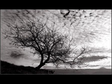 Песнь любви - Предисловие к Крик в Безмолвии