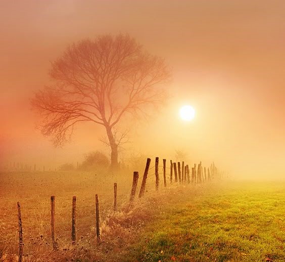 Предначертание