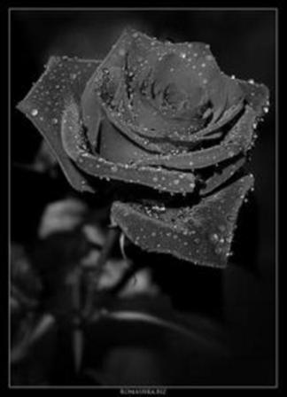 Грустный Ангел - Посвящается Диане