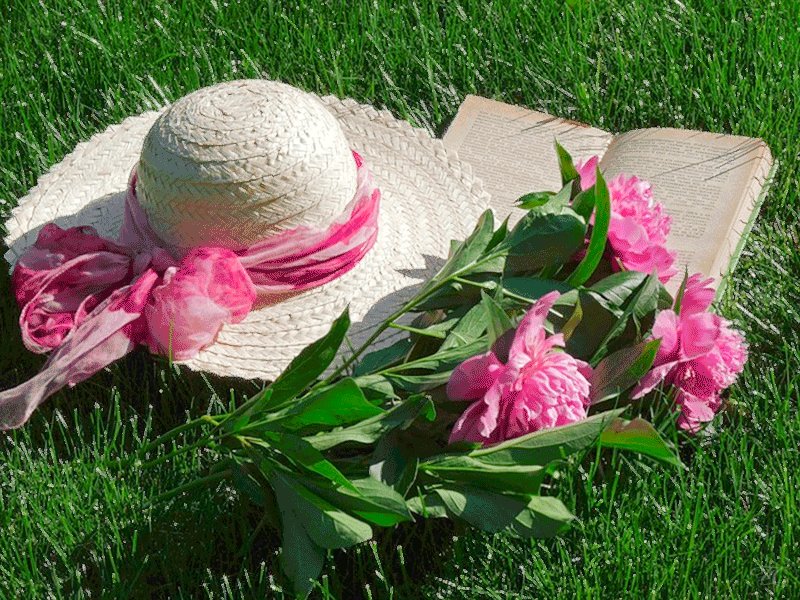 Чем кудрявей слог, тем плешивей мысль