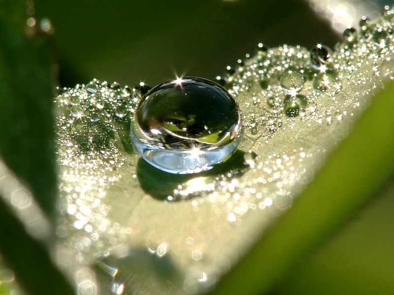 Июльское утро