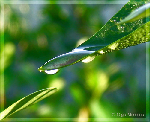 Майские картинки