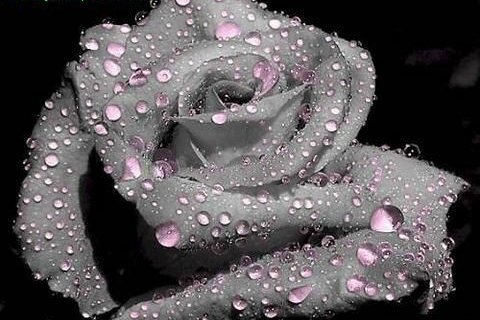 Где ты была?