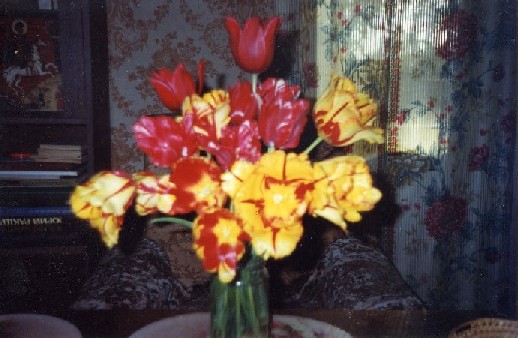 На юбилей любимой певицы