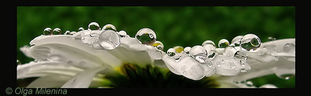 Памяти Андрея Волкова