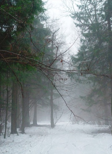 Твой неясный силуэт...