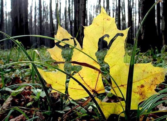 Прощальный танец