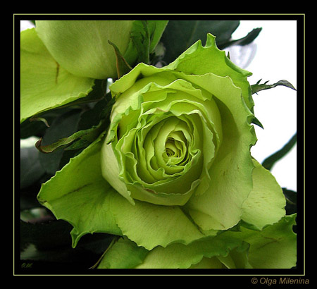 Валентинов день