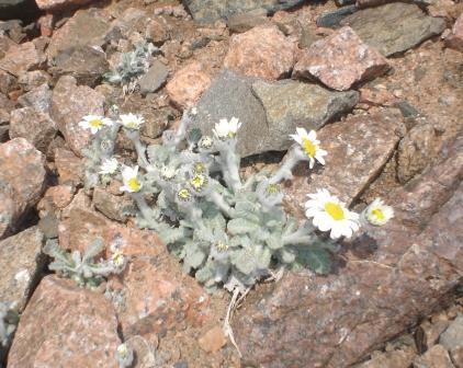 В День Всех Влюбленных!!! Гена!!!
