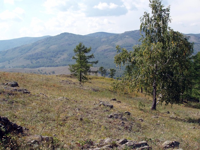 Возвращение