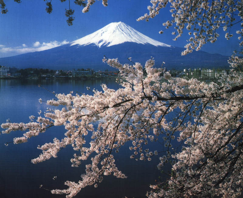 Весна придёт, растают снеги...