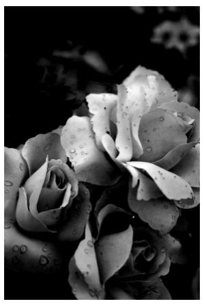 Что ещё я могу сделать для тебя?