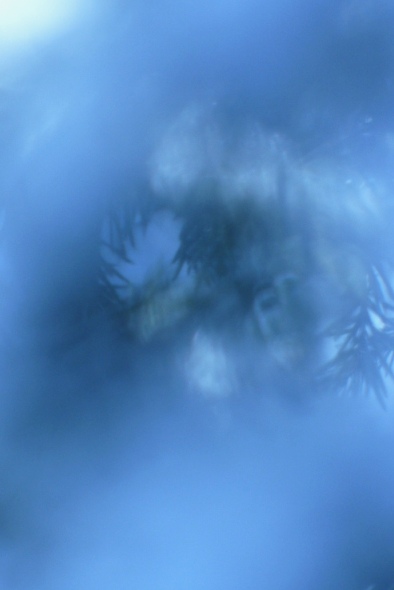 Я расскажу тебе сказку