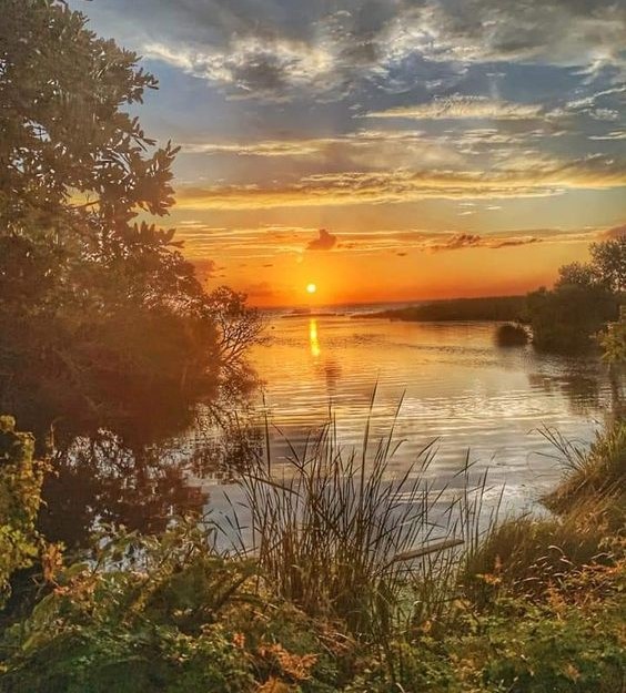 Возвращение в сказку