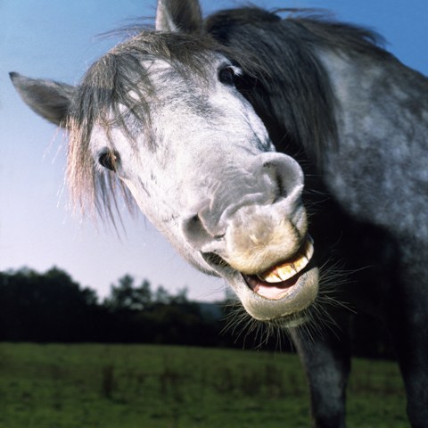 Побег - история с намёком