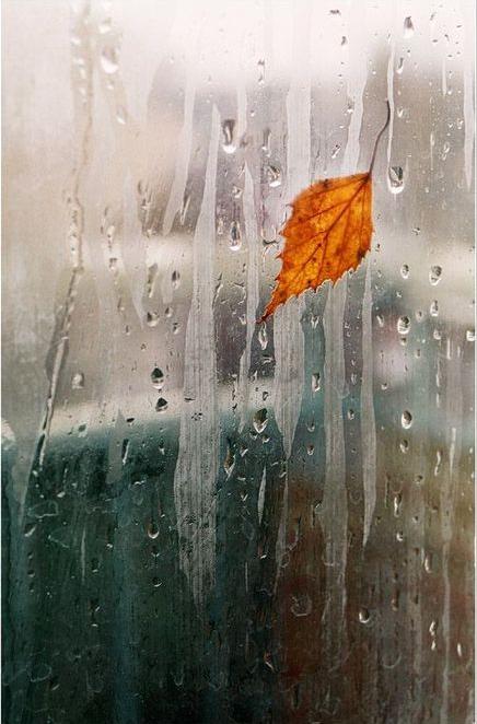 Тысяча строк