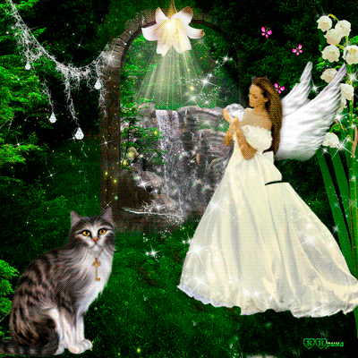 Цветок моих желаний