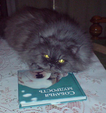 Васик-благородник