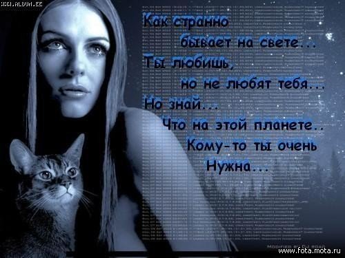 21 июня 2006 год