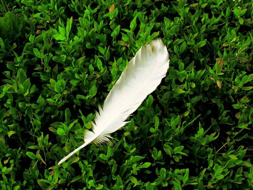 Мои стихотворные рецензии 3