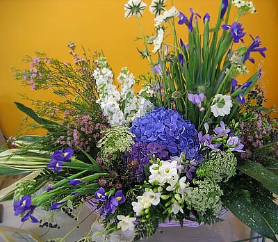 ПесТня Мяушке