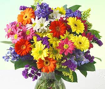 ПесТня Моей Мечте