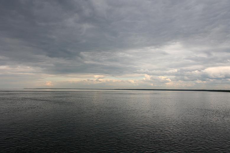 На волнах не свить гнездо