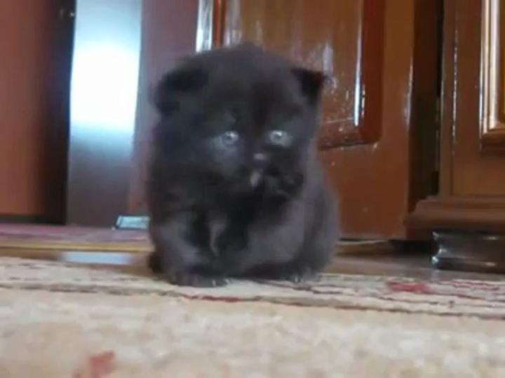 Моей сестрёнке