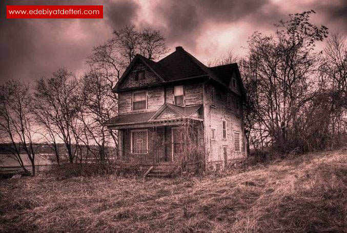 В краю несбывшихся надежд