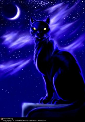 Черная Кошка