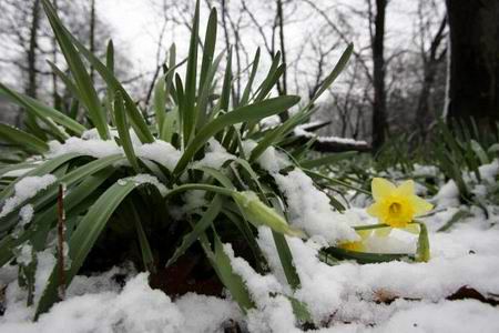 Прошу, молчи