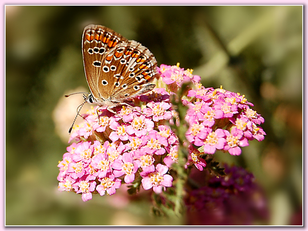 Все в мире не случайно