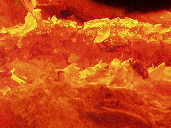 Хочешь, я тебе приснюсь?