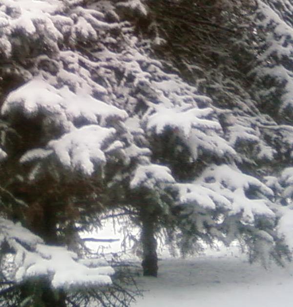 К Новому Году