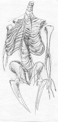 Под крышкой