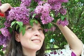 Как полюбить цветущую сирень