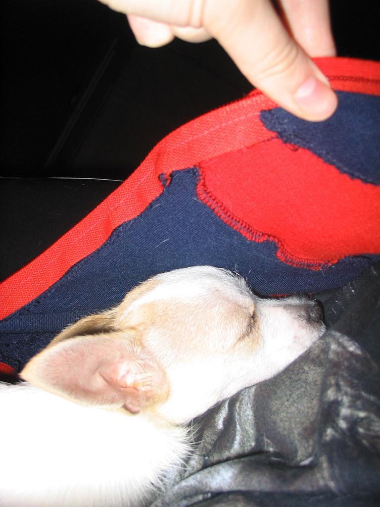 Сладкий нос у меня подмышкой...