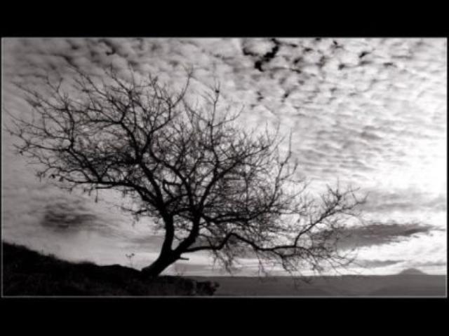 Роскошь цвета января в прошлом...