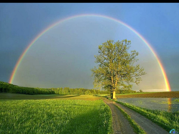 Рано в небо. Денису Попову