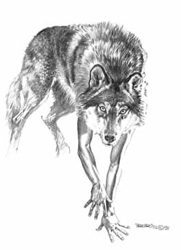 А оборотень я