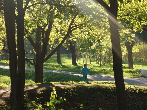 Анекдот из жизни