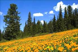 Все просто...